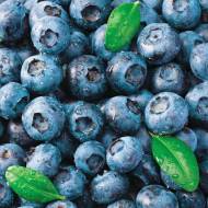 Саджанець Лохина Ерлі Блю